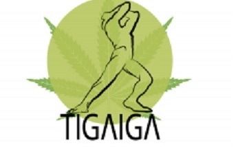 Tigaiga